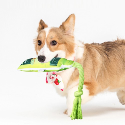 Dog Toys Bite Resistant Relieve Boredom Self-Healing Sound Pet Toy