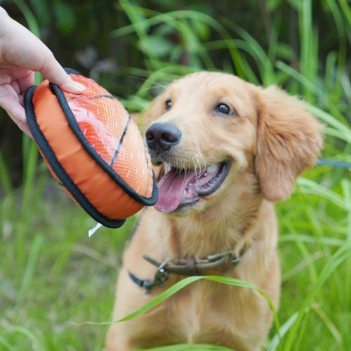 Interactive Bite Resistant Dog Toys Grinding Molar Dog Ball Boredom Relieving Pet Toys
