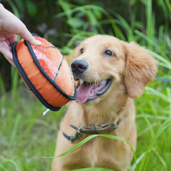 Interactive Bite Resistant Dog Toys Grinding Molar Dog Ball Boredom Relieving Pet Toys