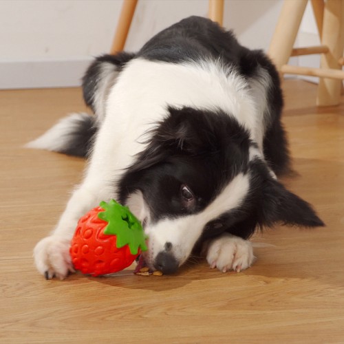 Dog Strawberry Toys Interactive Teeth Cleaning Toys Companion Pet Feeding Toys