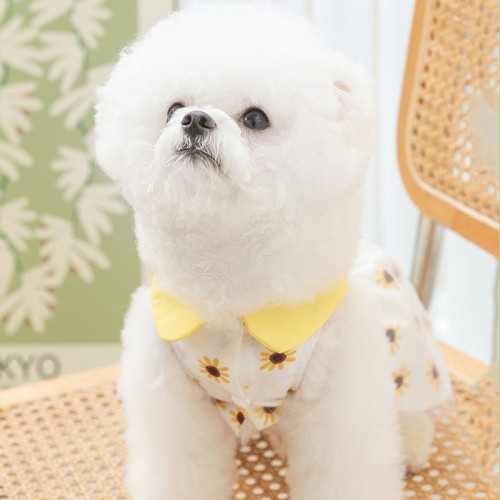 Spring Summer Sunflowers Dog Dress Puppy Clothes Girl Dog Dress Chihuahua Clothes Dresses