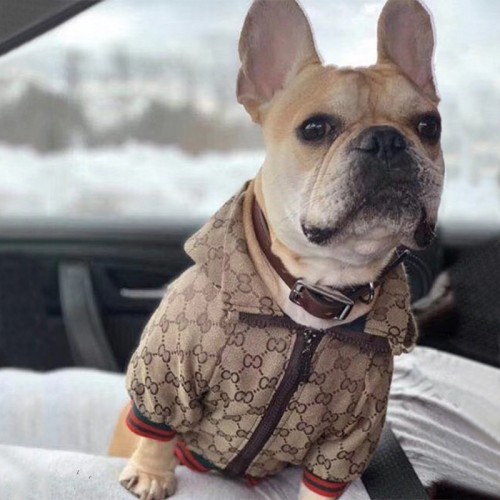 Pet Clothes Tide Brand Hoodie with Lining Dog Clothing Jacket Bulldog Corgi Dog Clothes Hoodie