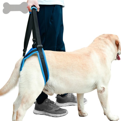 Pets Leg Brace Belts Dogs With Hind Legs Disabled And Injured Seniors Climbing Upstairs To The Car Assisting With Pet Supplies