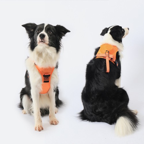 Dog Traction Rope Vest Type Explosion-proof Big Dog Pet Chest And Back With Dog Rope