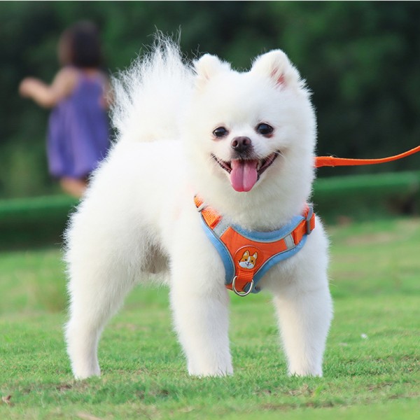 Reflective Dog Leash New Pet Chest Harness Dog Leash for Small Dogs