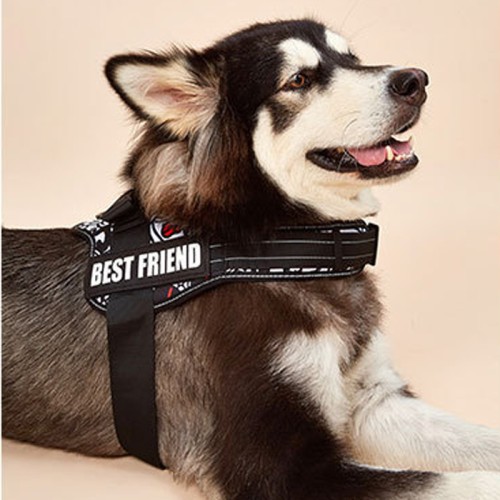 Dog Vest Harness Reflective No Pull Dog Harness Padding Adjustable Easy On Grip Harness for Dogs with Velcro