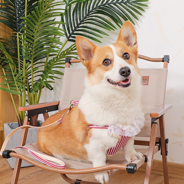 Cute Pet Harness Leash Pets Chest Strap Breathable Dog Leash Walking Rope For Pet Vest