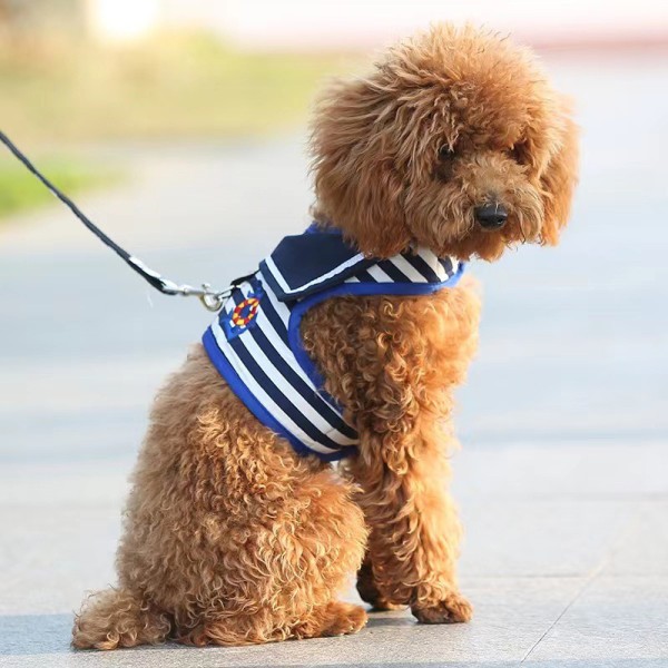 Leash Set Small Pet Harness Adjustable Soft Padded Dog Vest for Chihuahua Poodle Yorike