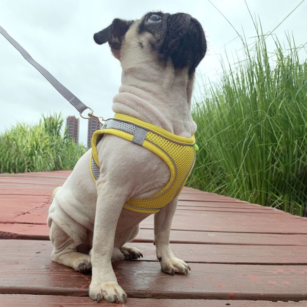 Adjustable Dog Harness and Leash Set Small Pet Harness Soft Padded Dog Vest