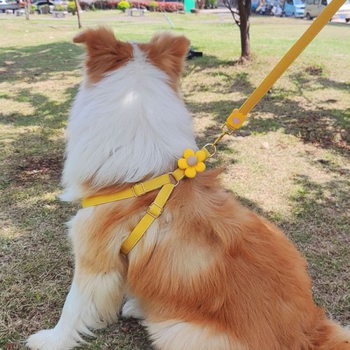 Spring And Summer New Dog Chest Back Traction Rope Vest Chest Back European And American Style Pet Traction