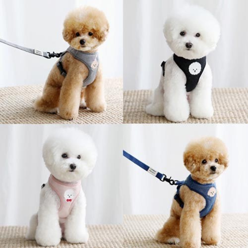 Teddy Dog Harness and Leash Set Dog Vest Harness Dispenser for Small Medium Large Dogs