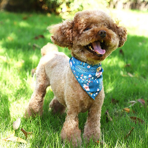 Pet Chest Carry Printed Carrier Cat Chest Carry Dog Leash Carry Vest Type