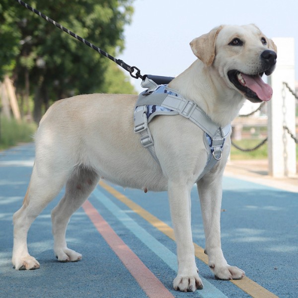 Dog Collar Leash Reflective Pet Harness Chest Strap Dog Leash Explosion-proof Punch