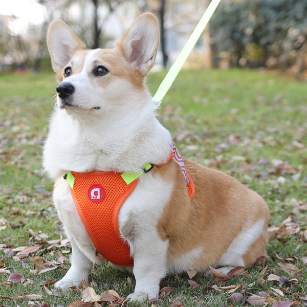 Dog Harness Reflective and Breathable Pet Harness Small Large Dog Walking Leash Pet Chest Strap