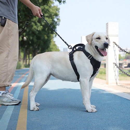 Glowing LED Dog Leash Explosion-Proof Punch Pet Lead Light Up for Walking The Dog at Night