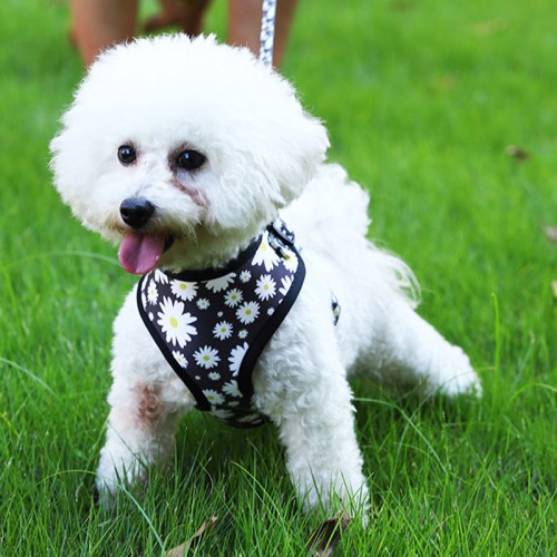 Mesh Pet Chest Strap Vest Type Dog Strap Reflective Dog Rope Dog Leash