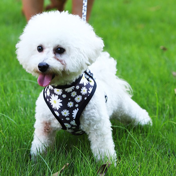 Mesh Pet Chest Strap Vest Type Dog Strap Reflective Dog Rope Dog Leash