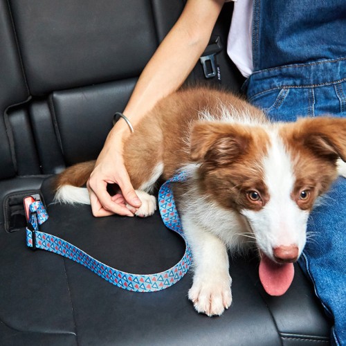 Printed Pet Car Seat Belt Dog Hand Holding Rope Nylon Dog Leash