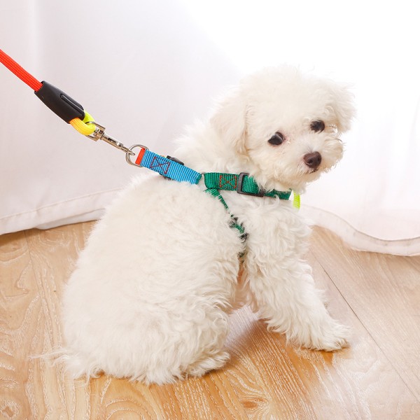 Pet Traction Rope Colorful Chest Strap Dog Traction Belt Dog Colorful Leash