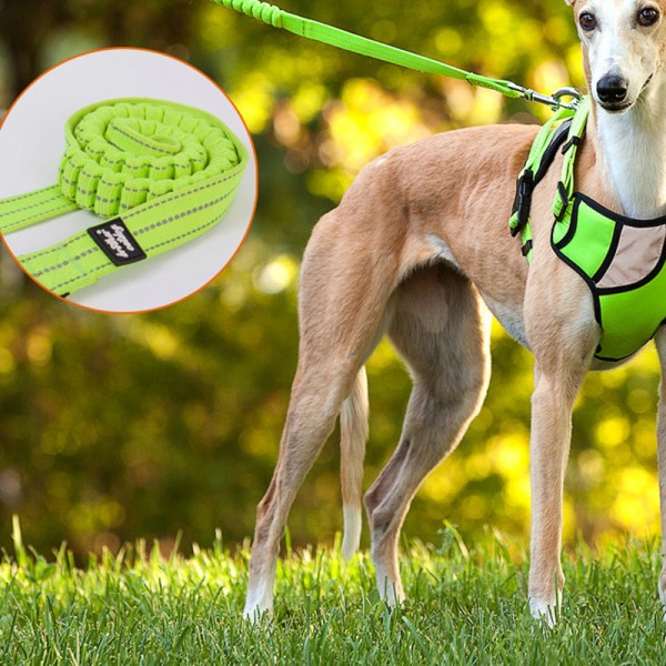 Dog Training Leash Strong Nylon Rope for Medium Large Dogs