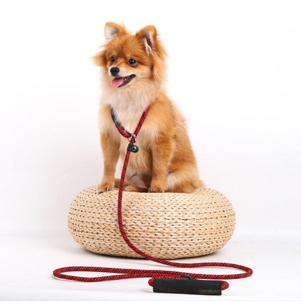 Pet Dual-use One-piece Round Rope Dog Leash Dog Leash Dog