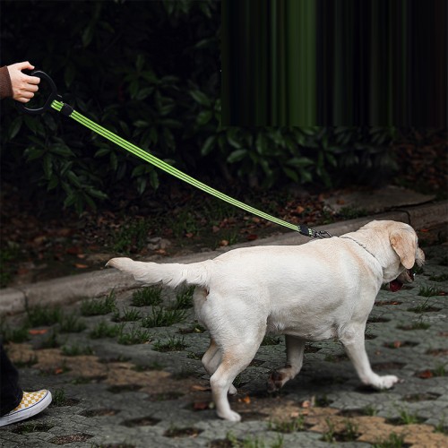 Reflective Chain Large Dog Leash Comfortable Double Handle Non-Slip Collar Explosion Proof