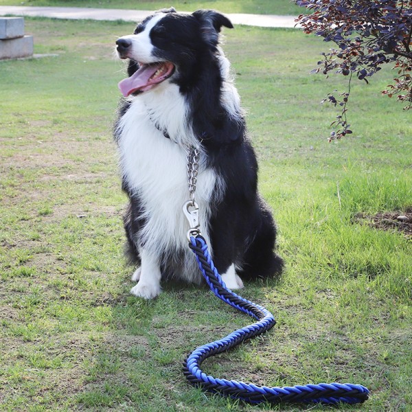 Large Dog Leash Heavy Duty Rope Braided Big Dog Training Leash for Medium Large Dogs