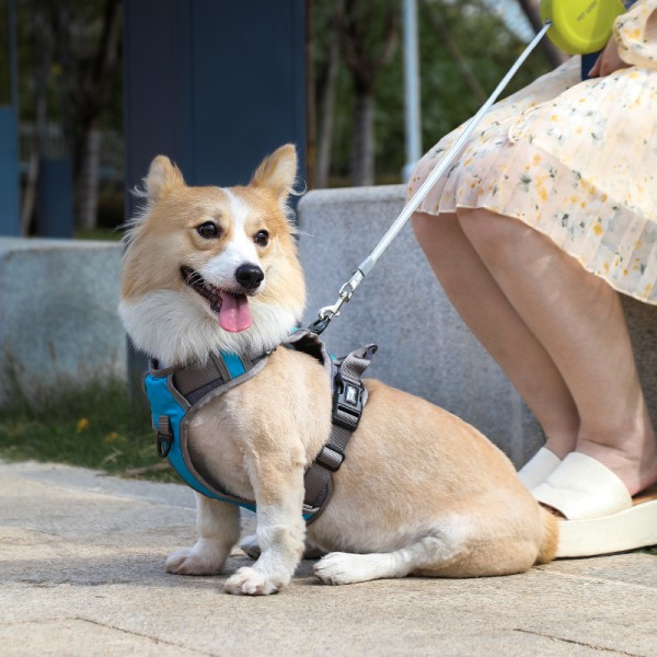 New pet chest strap undershirt type large dog chest strap explosion-proof dog leash reflective dog leash