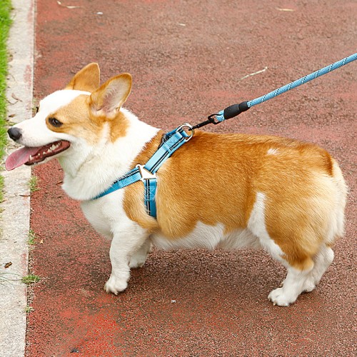 Adjustable Pet Puppy Dog Safety Harness with Leash Lead Set