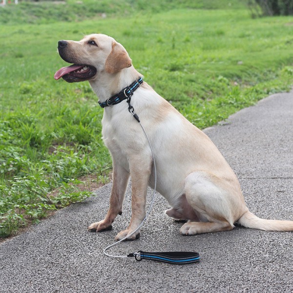 Dog Leash Chew Proof Sturdy Steel Cable Lead with Reflective Padded Handle